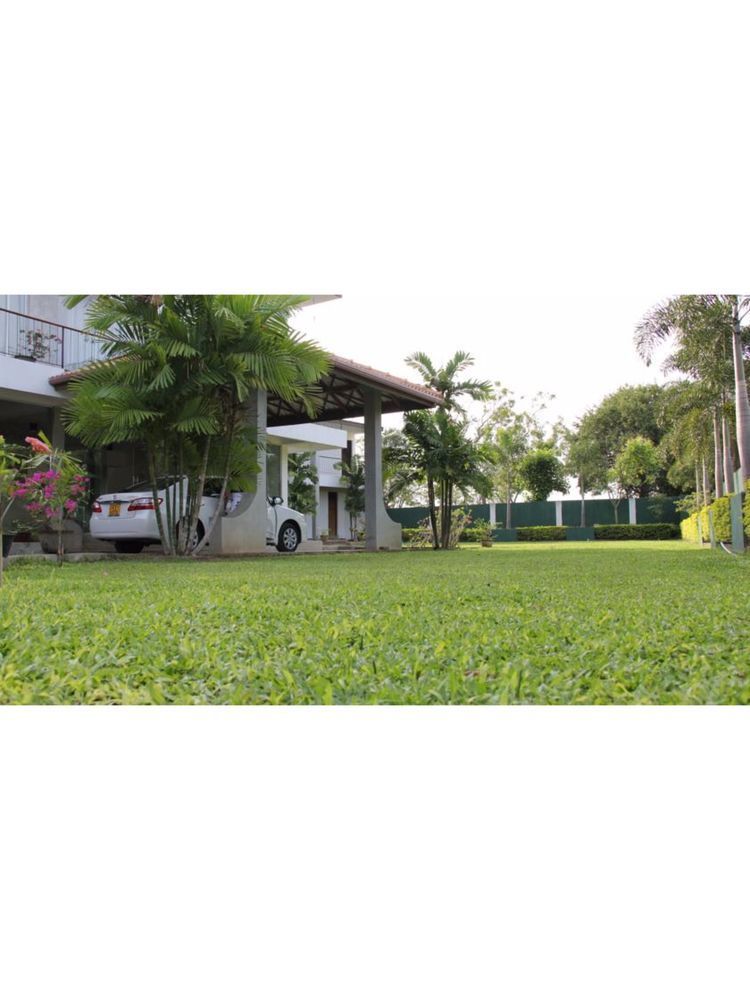 טיסמהרמה Lake Wind Hotel מראה חיצוני תמונה